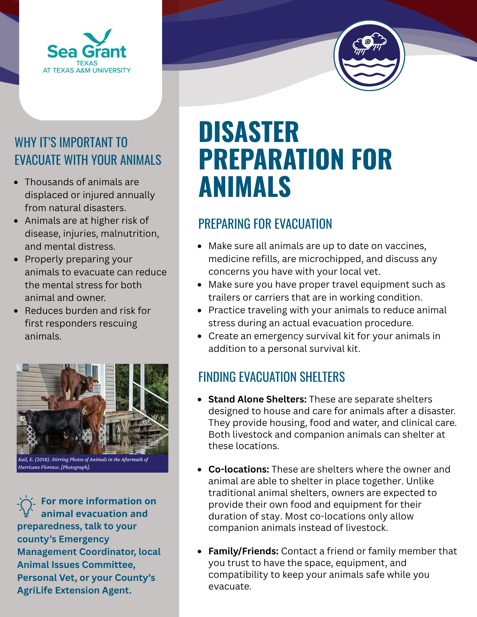 Disaster Preparation for Animals factsheet